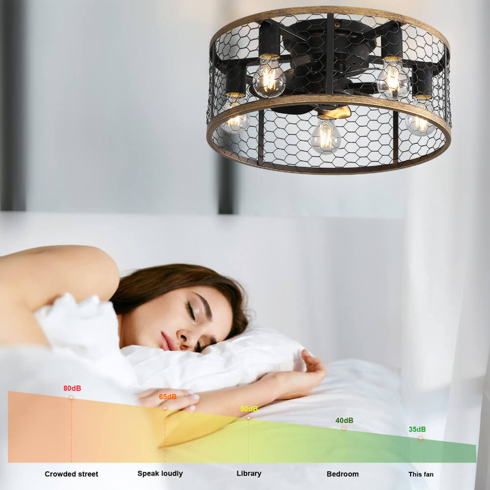 Sofucor 20 Inch Low Profile Flushmount Caged Ceiling Fan With Light Remote