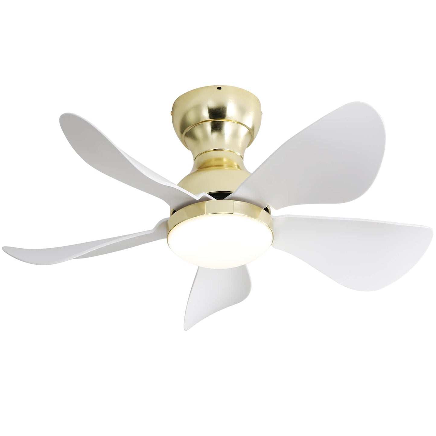 Sofucor 5-Blades 29 Inch Low Profile Flushmount Ceiling Fan With Light Remote