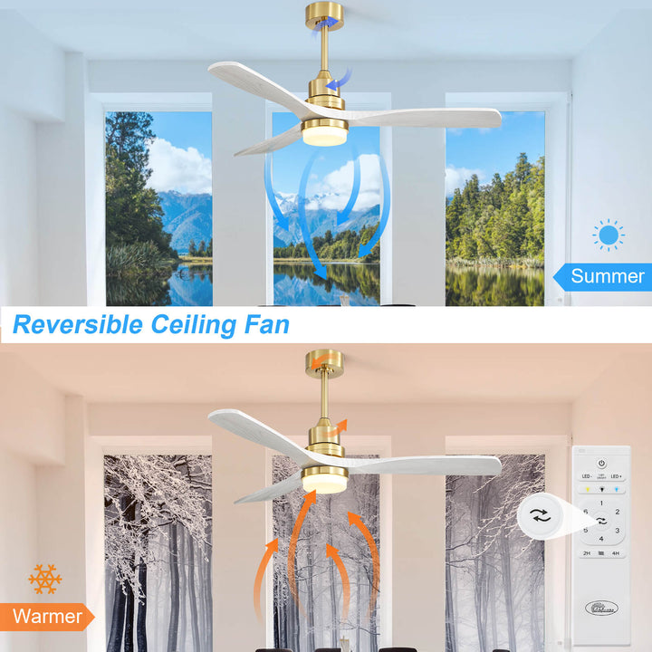 Sofucor KBS-5247-BG 3-Blades 52‘’ Ceiling Fan With Light Remote Control DC Motor