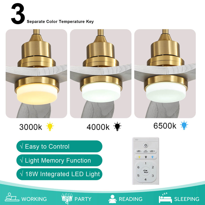 Sofucor KBS-5247-BG 3-Blades 52‘’ Ceiling Fan With Light Remote Control DC Motor