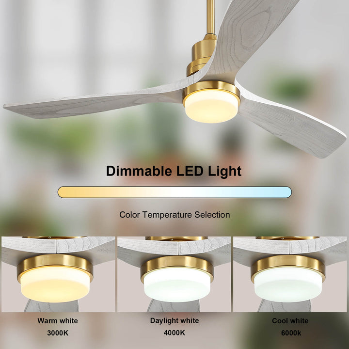 Sofucor KBS-5247-BG 3-Blades 52‘’ Ceiling Fan With Light Remote Control DC Motor